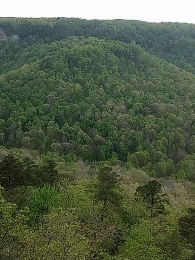 Pogue Creek Canyon State Natural Area - Jamestown, TN