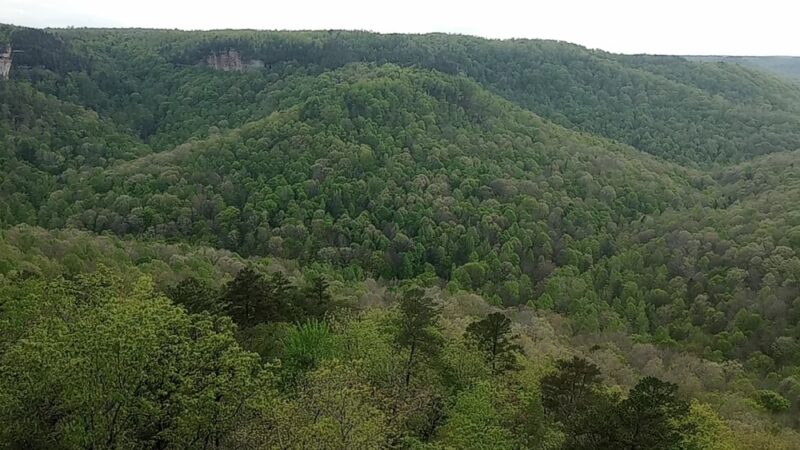 Pogue Creek Canyon State Natural Area - Jamestown, TN
