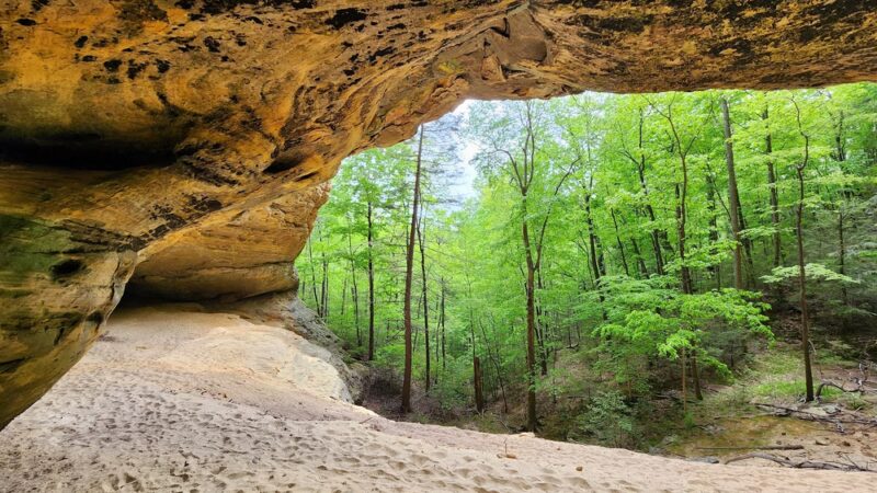Pogue Creek Canyon State Natural Area - Jamestown, TN