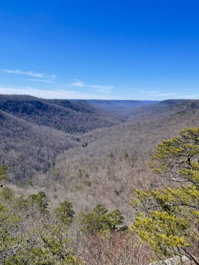 Pogue Creek Canyon State Natural Area - Jamestown, TN