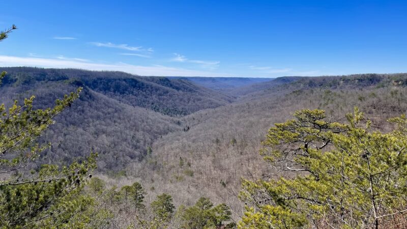 Pogue Creek Canyon State Natural Area - Jamestown, TN