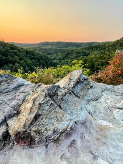 Pogue Creek Canyon State Natural Area - Jamestown, TN