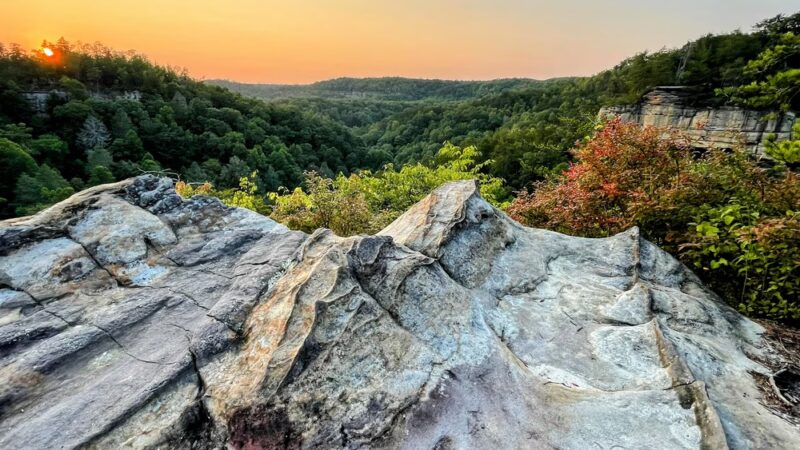 Pogue Creek Canyon State Natural Area - Jamestown, TN