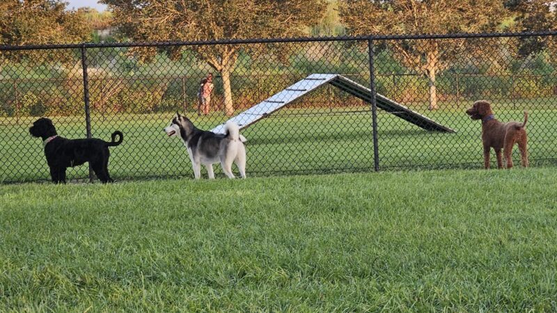 Dog Park - Jan Phyl Village, FL