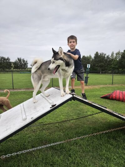 Dog Park - Jan Phyl Village, FL