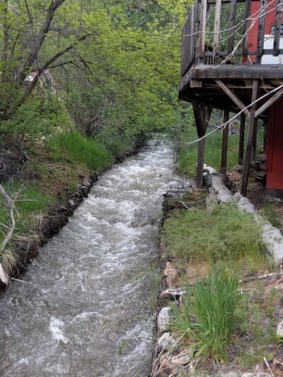 Jarbidge - Jarbidge, NV