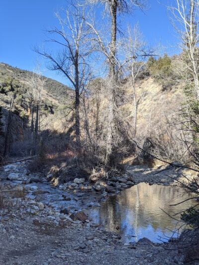 Jarbidge - Jarbidge, NV