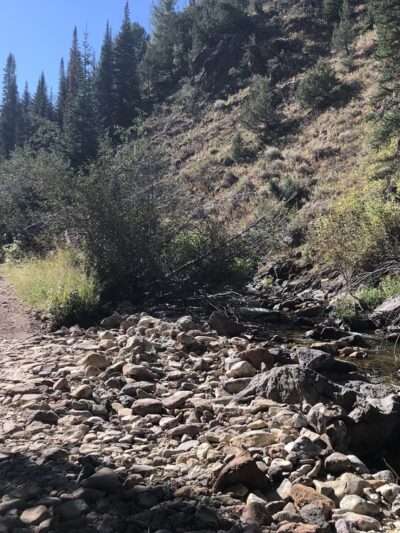 Jarbidge - Jarbidge, NV