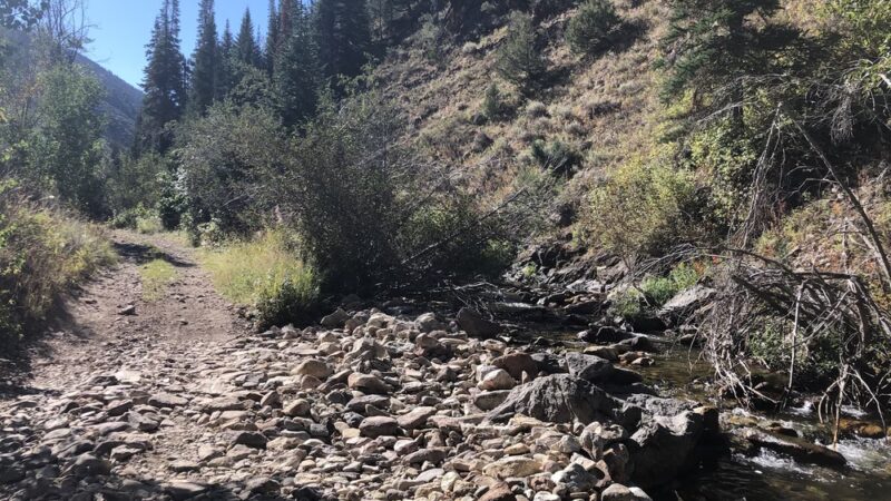 Jarbidge - Jarbidge, NV