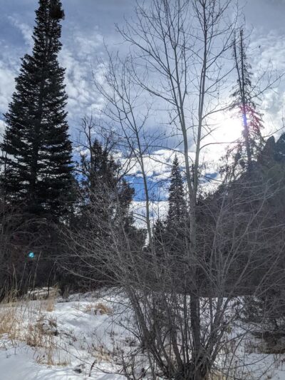 Jarbidge Campground - Jarbidge, NV