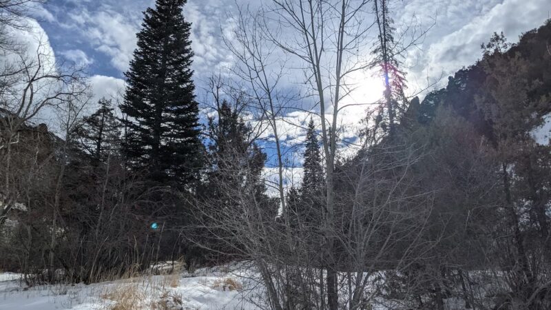 Jarbidge Campground - Jarbidge, NV
