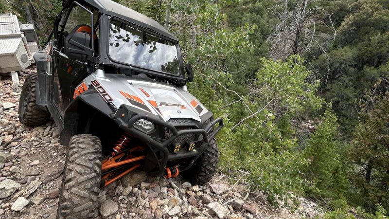 Jarbidge Wilderness - Jarbidge, NV