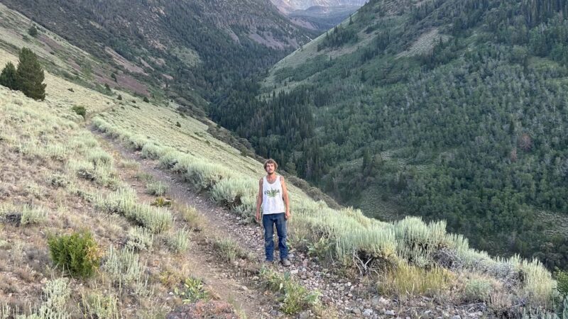 Jarbidge Wilderness - Jarbidge, NV