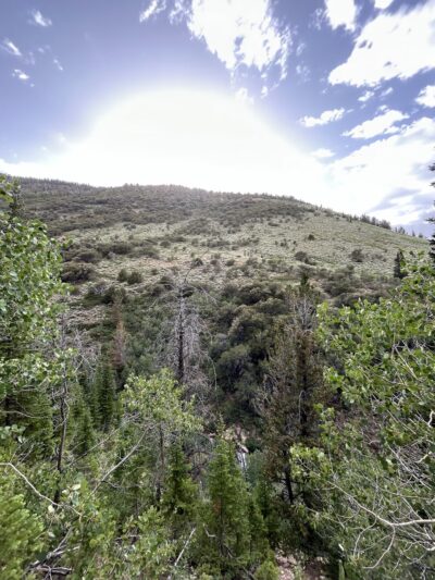 Jarbidge Wilderness - Jarbidge, NV