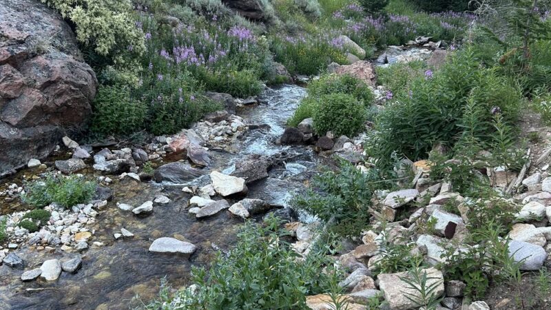 Jarbidge Wilderness - Jarbidge, NV