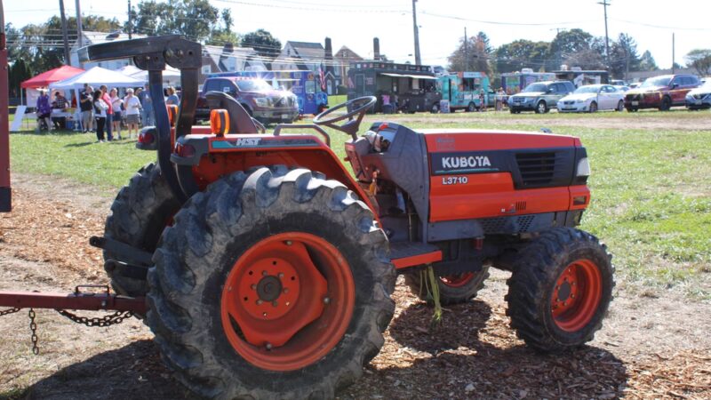 Clear Meadow Farm Sunflower Field - Jarrettsville, MD