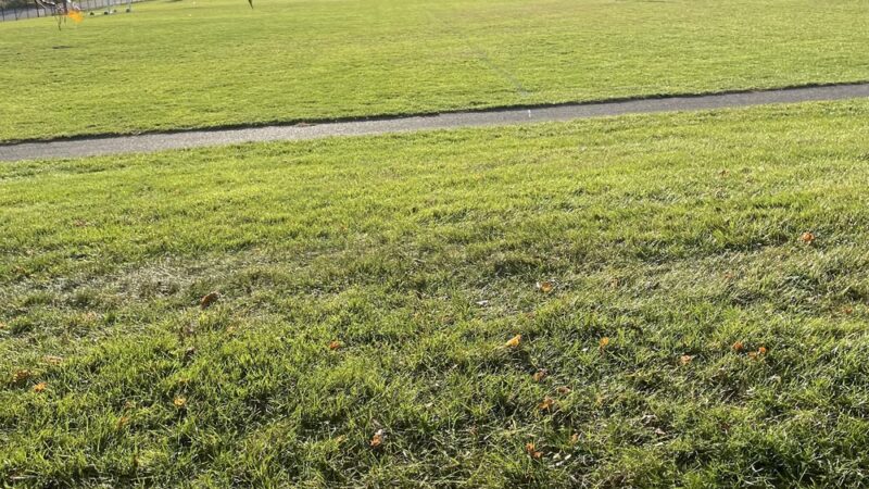 Dr. James B. Rutledge Memorial Park - Jarrettsville, MD