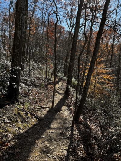 Rock Ridge Picnic Area - Jarrettsville, MD