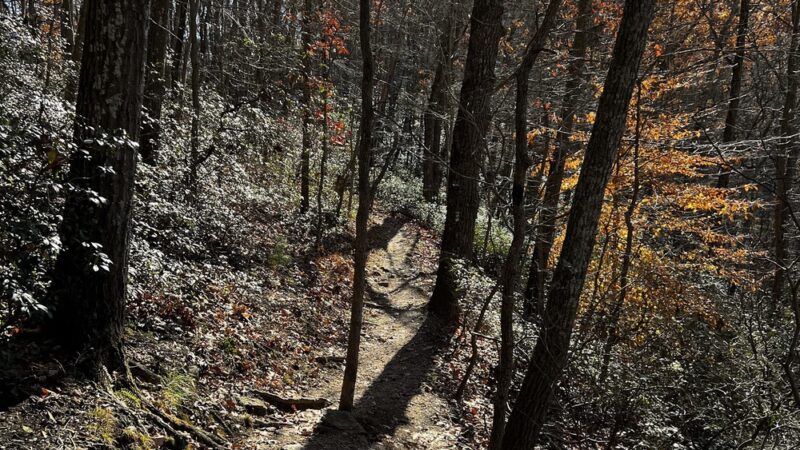 Rock Ridge Picnic Area - Jarrettsville, MD