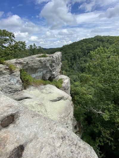 Rock Ridge Picnic Area - Jarrettsville, MD