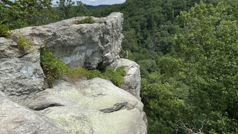 Rock Ridge Picnic Area - Jarrettsville, MD