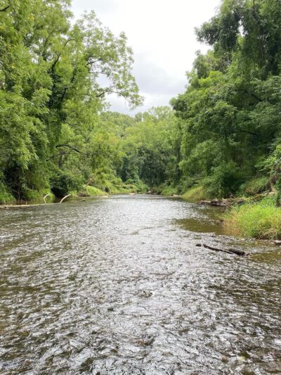 Rock Ridge Picnic Area - Jarrettsville, MD