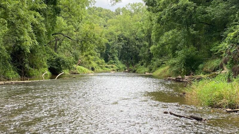 Rock Ridge Picnic Area - Jarrettsville, MD