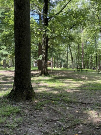 Rock Ridge Picnic Area - Jarrettsville, MD
