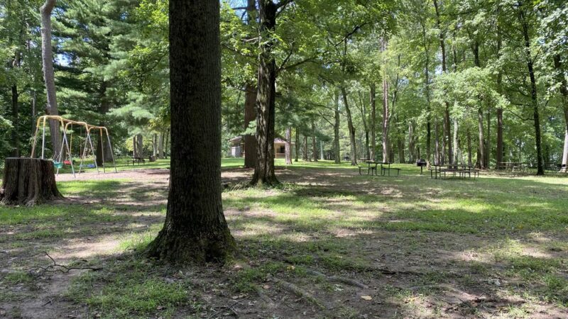 Rock Ridge Picnic Area - Jarrettsville, MD