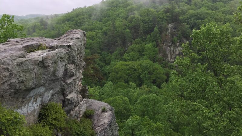 Rocks State Park - Jarrettsville, MD
