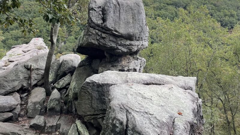 Rocks State Park - Jarrettsville, MD