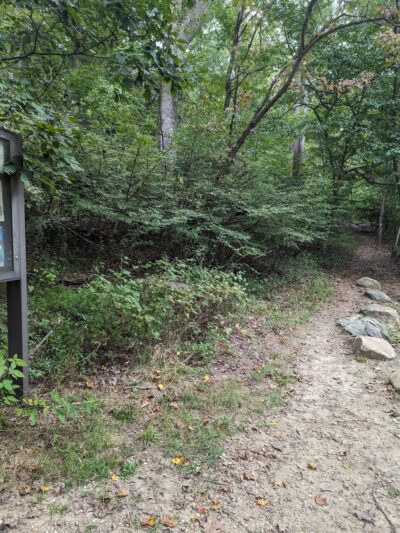 White trailhead - Jarrettsville, MD