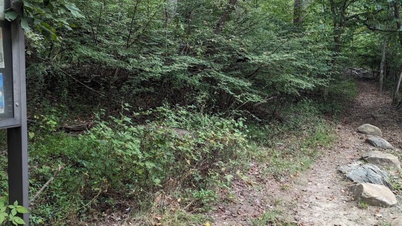 White trailhead - Jarrettsville, MD