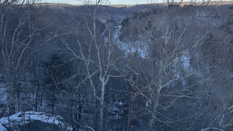 White trailhead - Jarrettsville, MD