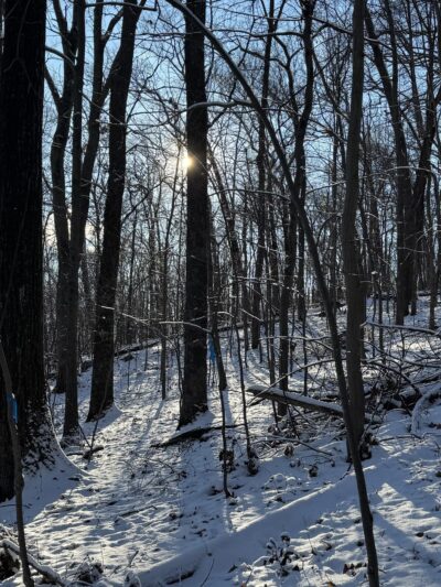 White trailhead - Jarrettsville, MD