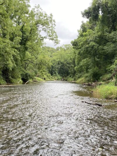 Wilson's Picnic Area - Jarrettsville, MD