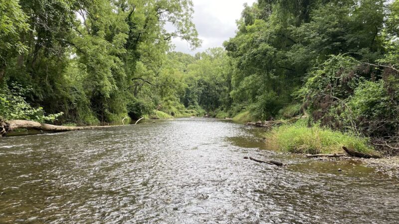 Wilson's Picnic Area - Jarrettsville, MD