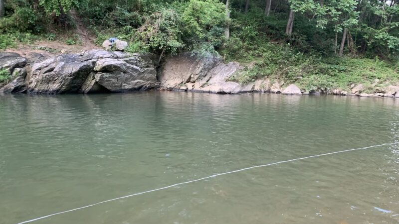 Wilson's Picnic Area - Jarrettsville, MD