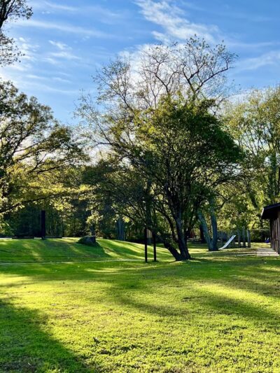 Wilson's Picnic Area - Jarrettsville, MD