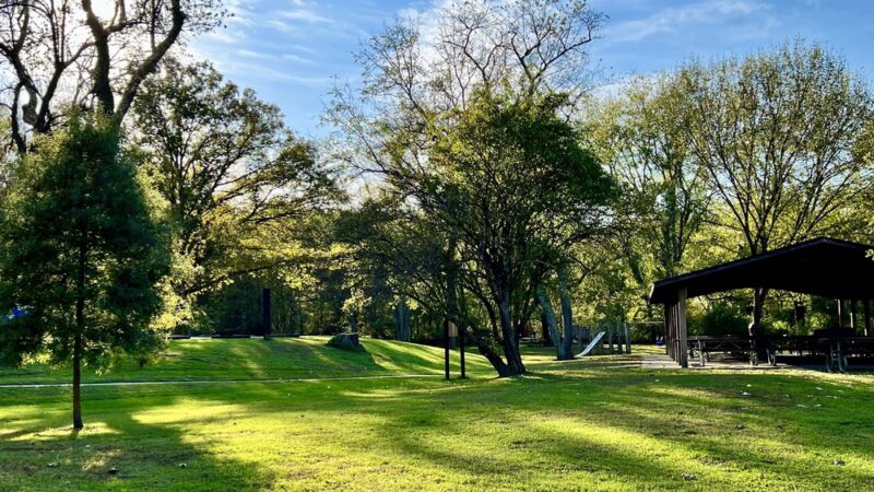 Wilson's Picnic Area - Jarrettsville, MD