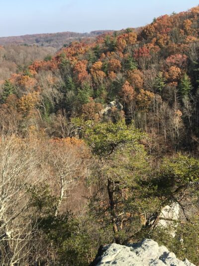 King & Queen Seat at Rocks State Park - Jarrettsville, MD