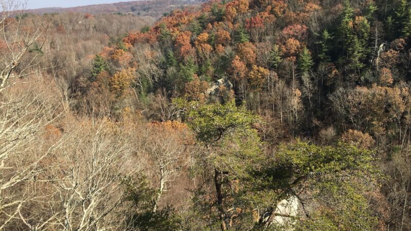 King & Queen Seat at Rocks State Park - Jarrettsville, MD