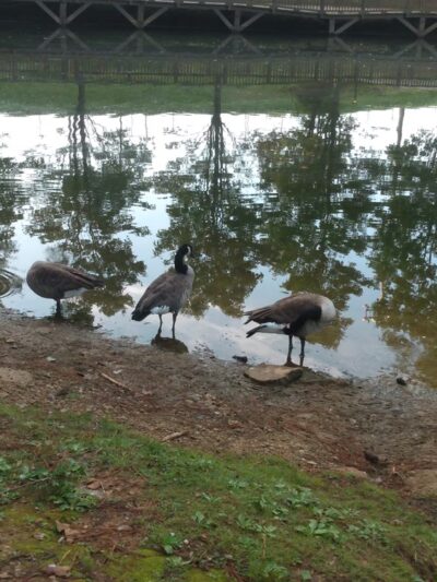 Jasper Park - Jasper, GA