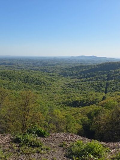 Jasper Park - Jasper, GA