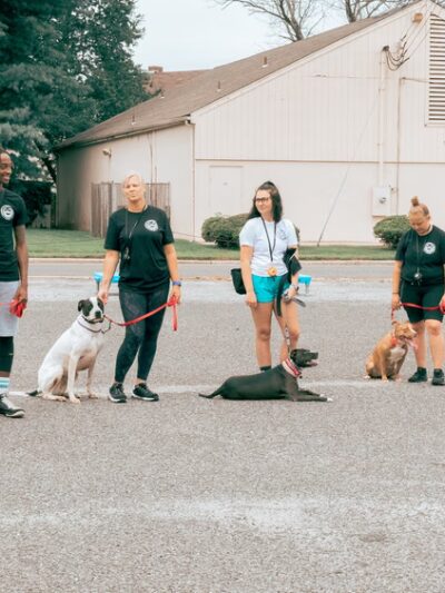 Jay's K9 Universe - ,