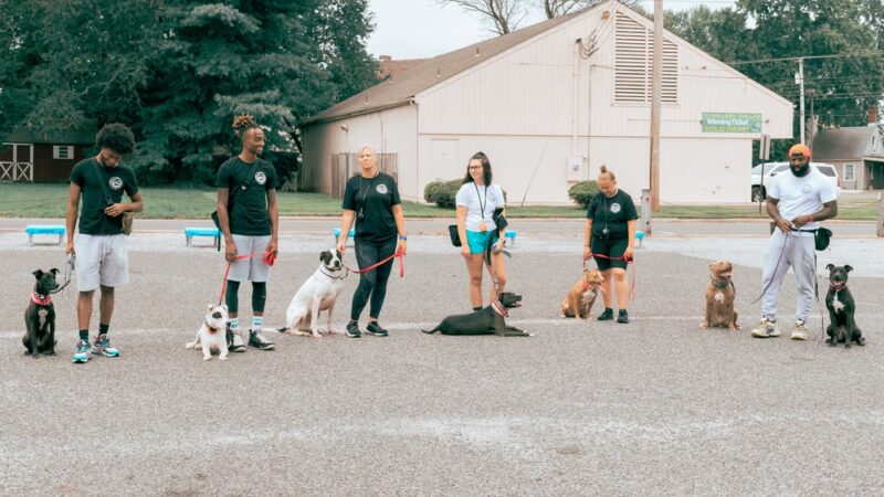 Jay's K9 Universe - ,