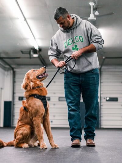 Jay's K9 Universe - ,