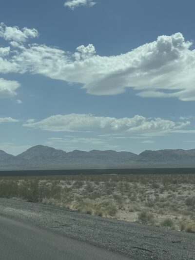 Pet Relief Area - Jean, NV