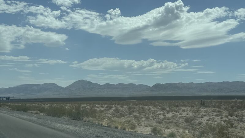Pet Relief Area - Jean, NV