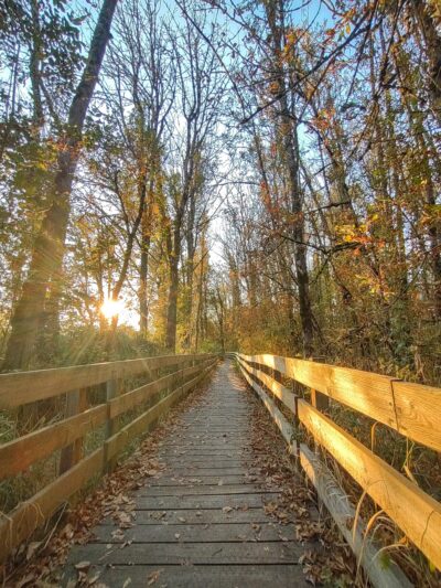 Rail Trail - Jefferson, OR